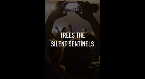 Trees the Silent Sentinels