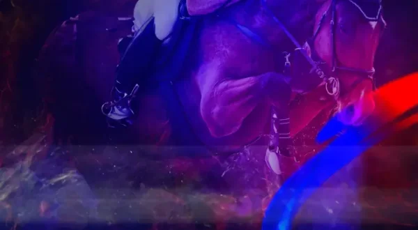 Pferdesport Highlights: FEI Weltmeisterschaft 2026: Para-Dressur