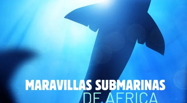 Maravillas Submarinas de Africa