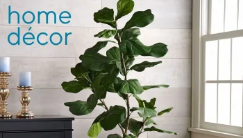 Live: At Home With Kim Gravel -- Decor