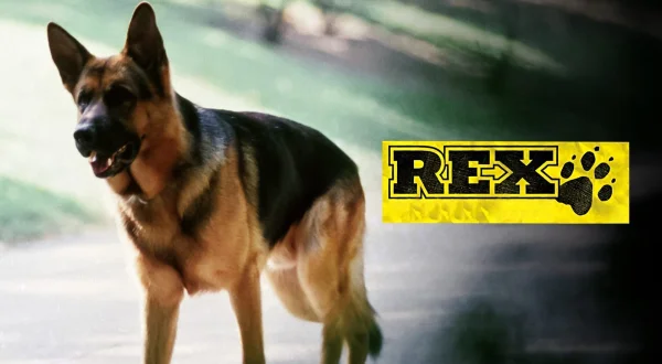 Rex, chien flic