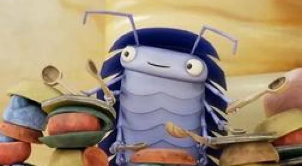 Bienvenue chez les Mouche