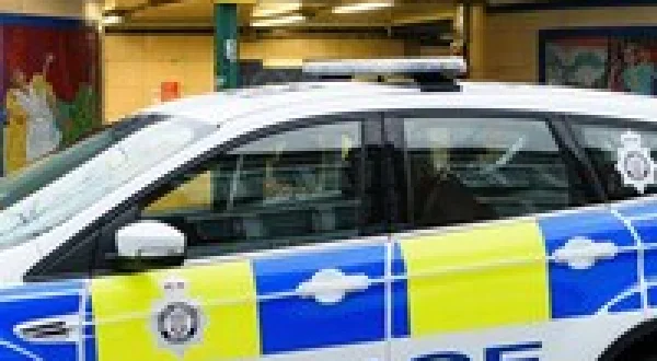 Brit Cops: Law and Disorder