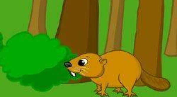 Beaver Family