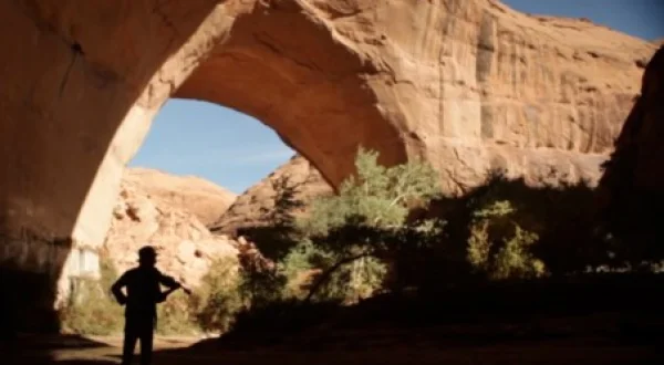 Andrew Bird - Echolocations: Canyon