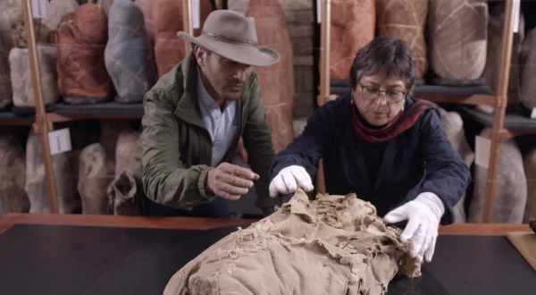 Mummies Unwrapped