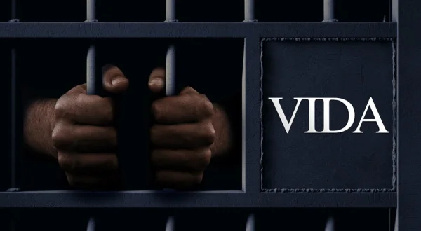 Vida