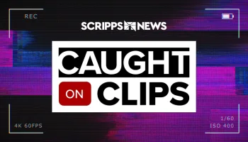 Caught On... Clips