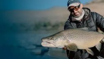 Pêches modernes à la mouche