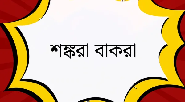 Shankara Bakara