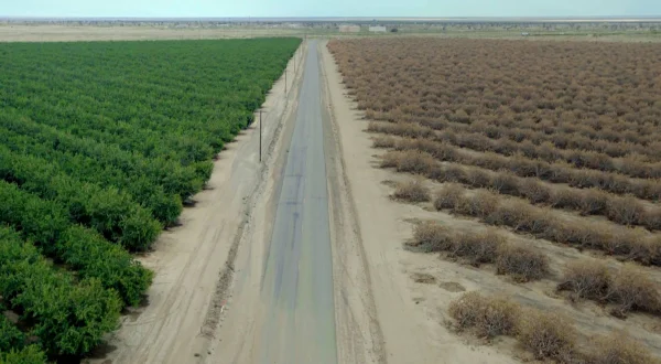 Water & Power: Το Mεγάλο Kόλπο στην California