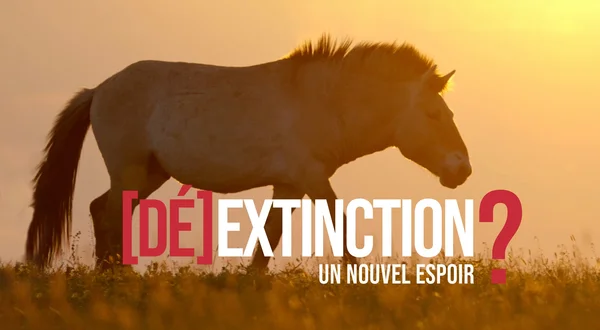 Dé-extinction, un nouvel espoir ?