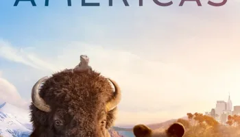The Americas