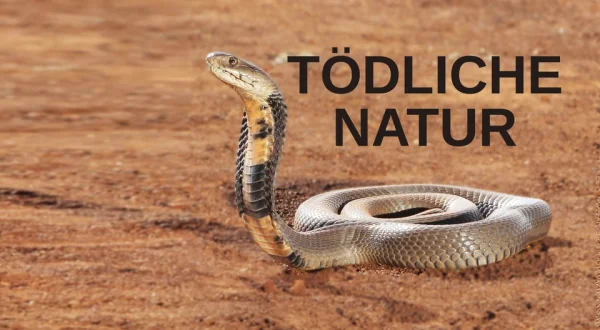 Tödliche Natur