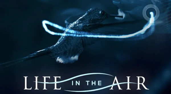 Animales de altura