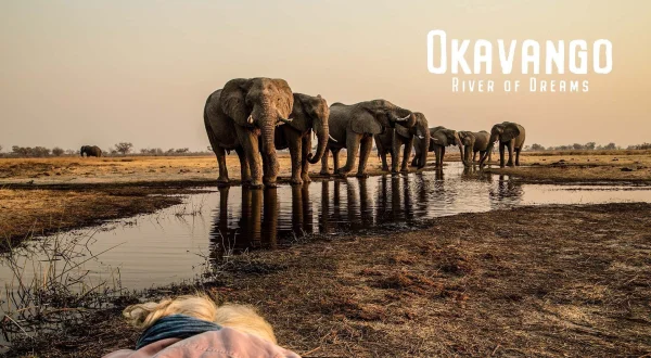 Okavango: River of Dreams