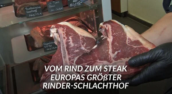 Vom Rind zum Steak - Europas größter Rinder-Schlachthof