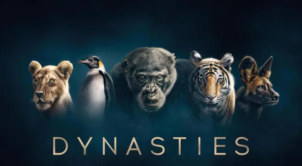 S0E3 - Dinastitë