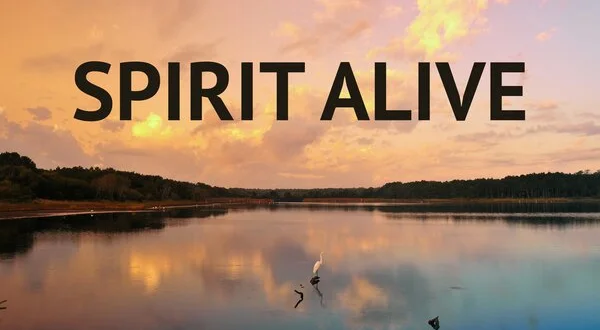Spirit Alive