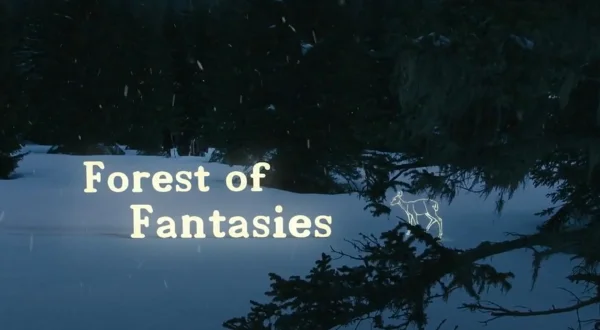 Forest of Fantasies