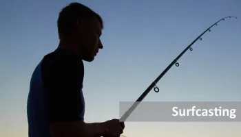 Surfcasting...