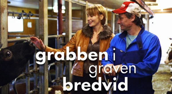 Grabben i graven bredvid