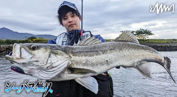 シーバス無双 4 熊本県リバーシーバス