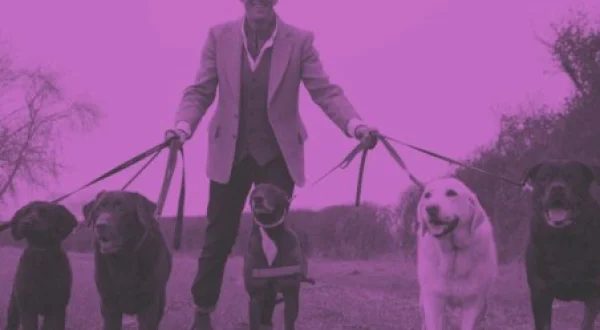 Cães Muito Mal-educados