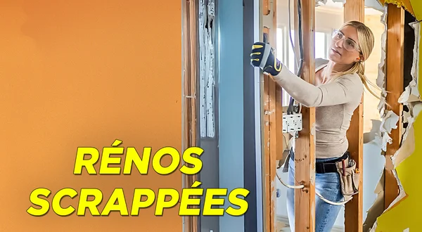 Rénos scrappées