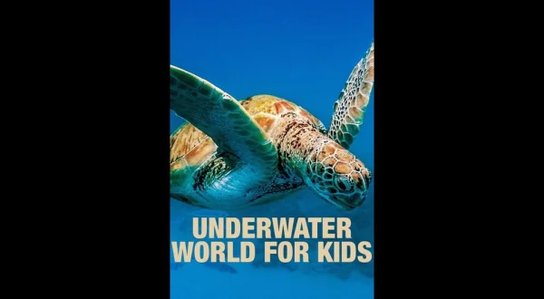 Underwater World for Kids