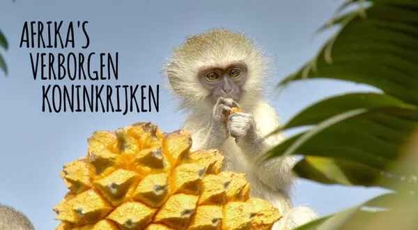 Afrika's Verborgen Koninkrijken