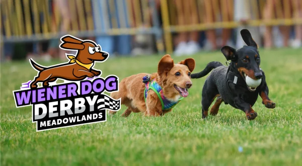 Meadowlands Racetrack Wiener Dog Derby