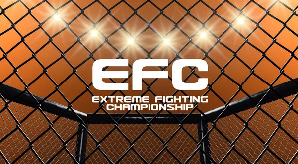 Extreme Fighting Championship