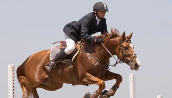 Longines FEI World Cup Jumping North American League