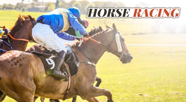 Live: Horse Racing