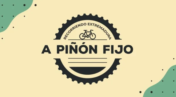 A piñón fijo