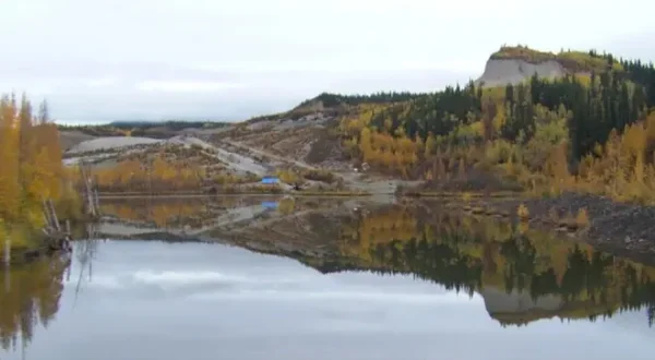 Yukon Gold