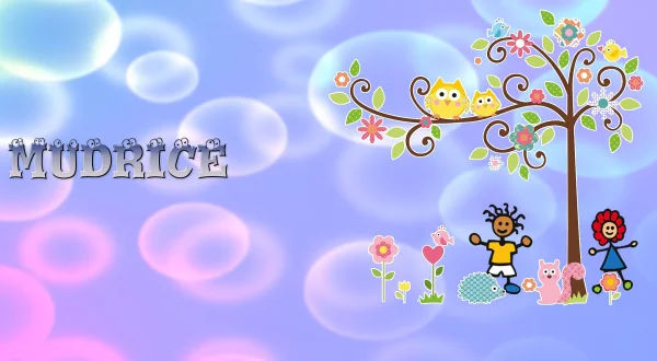 Mudrice