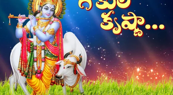 Gokula Krishnaa..!