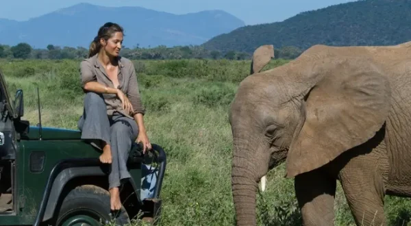 La marche des éléphants