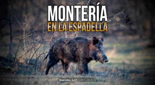 Monteria con solognac