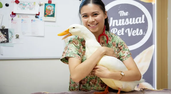 Κτηνίατροι Αλλόκοτων Κατοικιδίων | The Bizarre Pet Vets