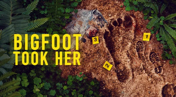 Bigfoot Took Her
