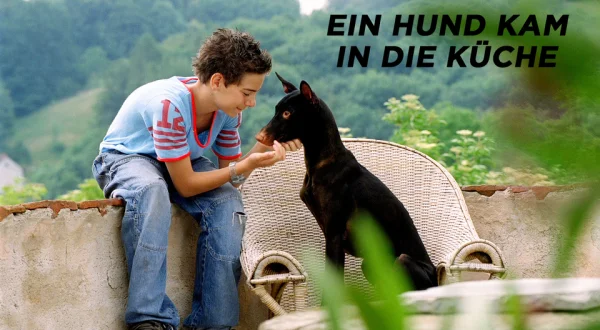 Ein Hund kam in die Küche