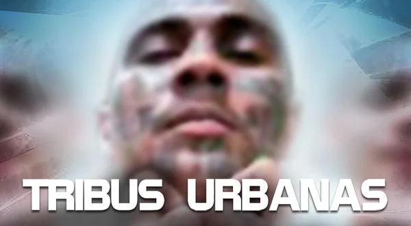 Tribus urbanas