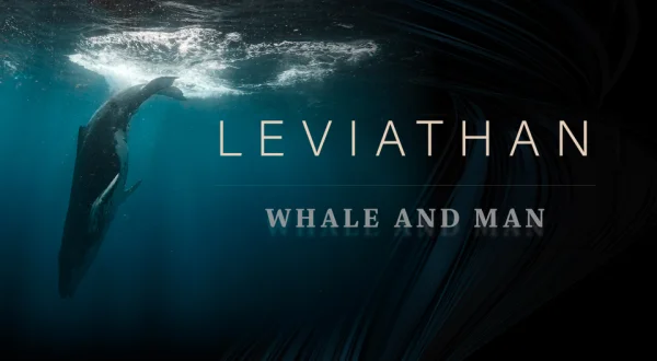 Leviathan: Whale and Man
