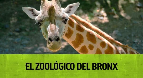 El zoológico del Bronx