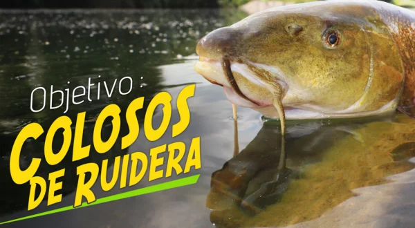 Colosos de ruidera
