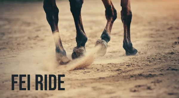 FEI Ride
