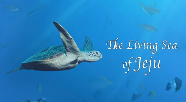 The Living Sea of Jeju